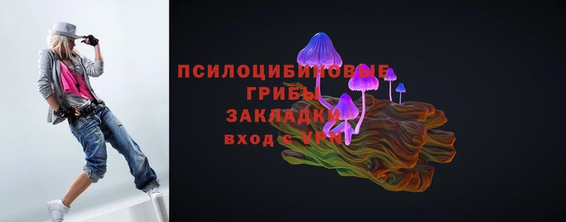 Псилоцибиновые грибы Magic Shrooms  Карабаново 